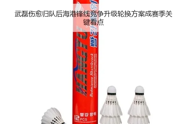 武磊伤愈归队后海港锋线竞争升级轮换方案成赛季关键看点